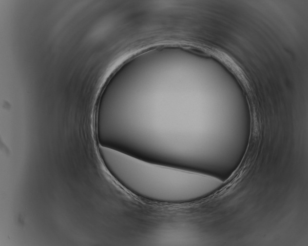 X0000091090958200708060956