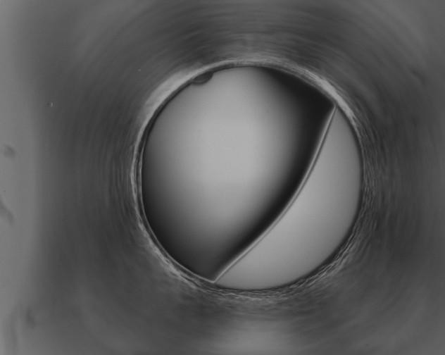 X0000091090959200708060956
