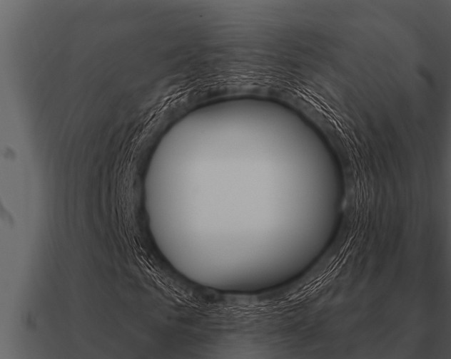 X0000091090961200708060955