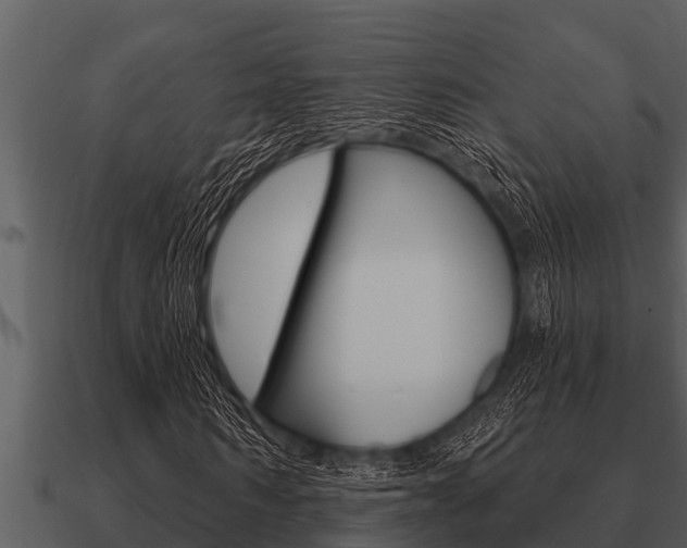 X0000091090962200708060955