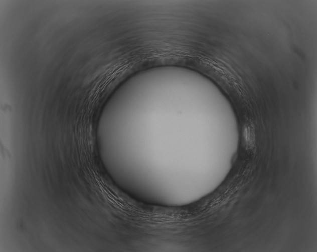 X0000091090963200708060955