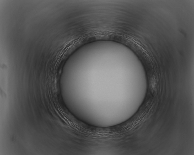 X0000091090964200708060955