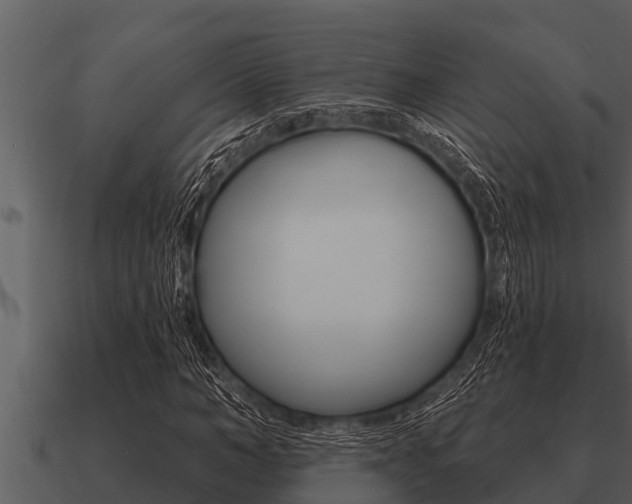 X0000091090966200708060955