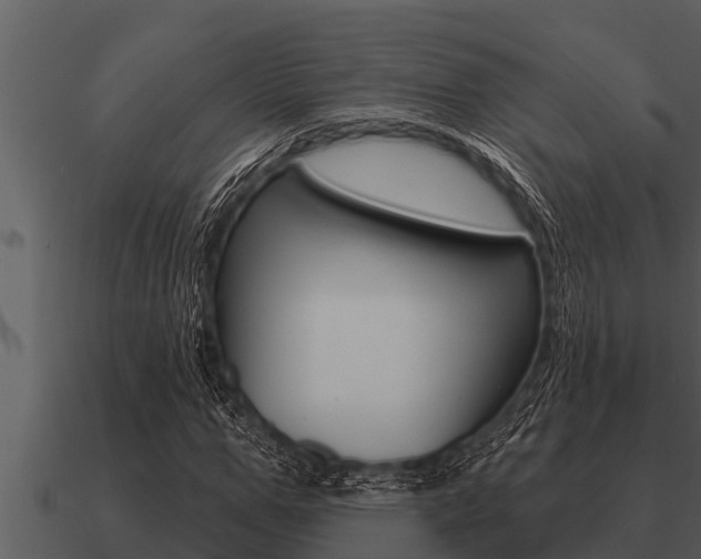X0000091090967200708060955