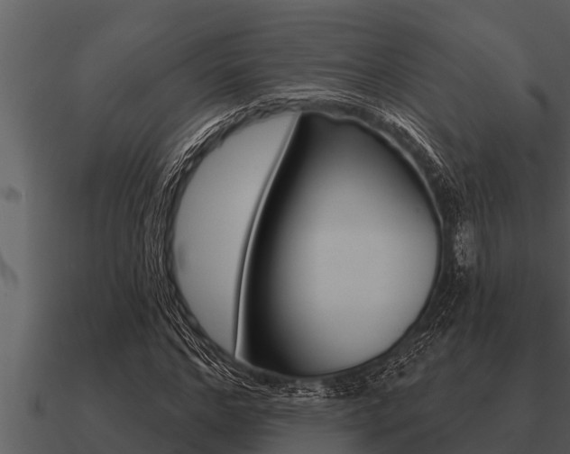 X0000091090968200708060955