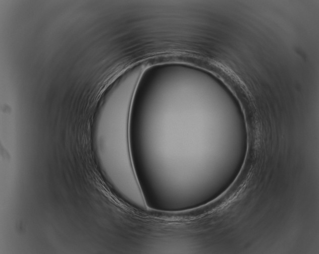 X0000091090969200708060955