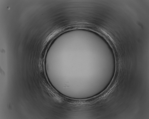 X0000091090970200708060955