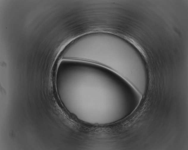 X0000091090972200708060955