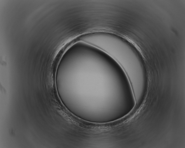 X0000091090973200708060955