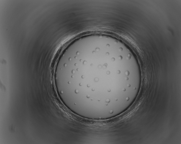 X0000091090974200708060955