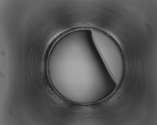 X0000091090975200708060955