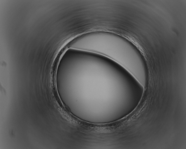 X0000091090976200708060955