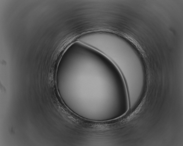 X0000091090977200708060955