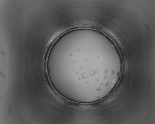 X0000091090978200708060955