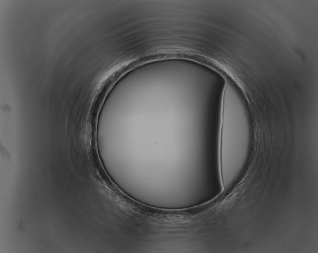 X0000091090979200708060955