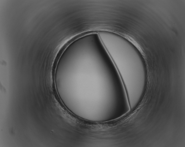 X0000091090980200708060955