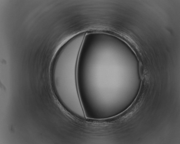 X0000091090981200708060955