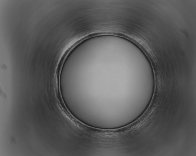 X0000091090982200708060955