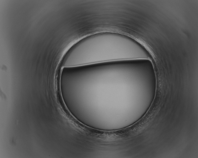 X0000091090983200708060955