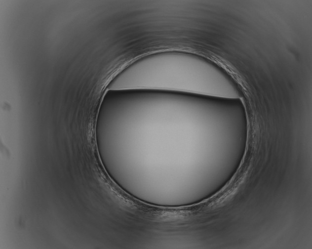 X0000091090985200708060955