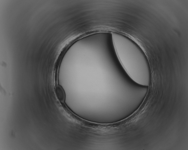 X0000091090987200708060955