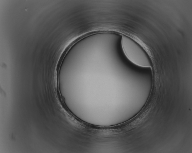 X0000091090988200708060955