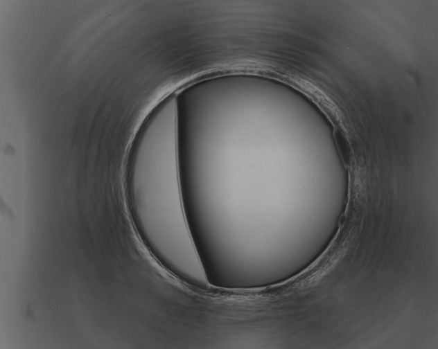 X0000091090989200708060955