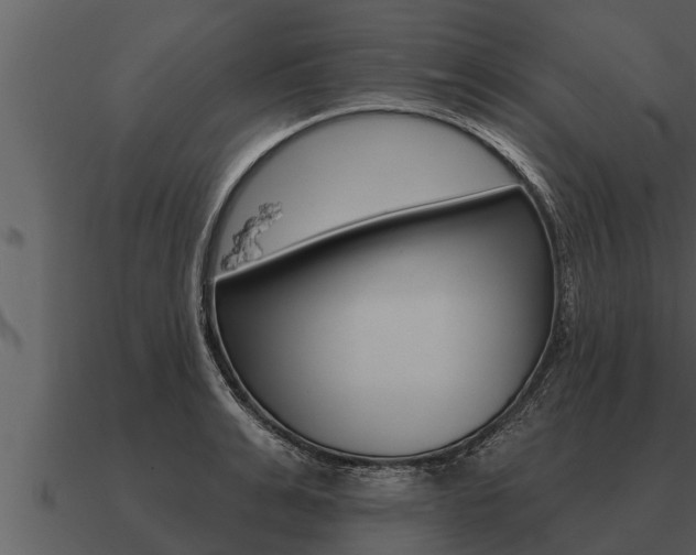 X0000091090991200708060955