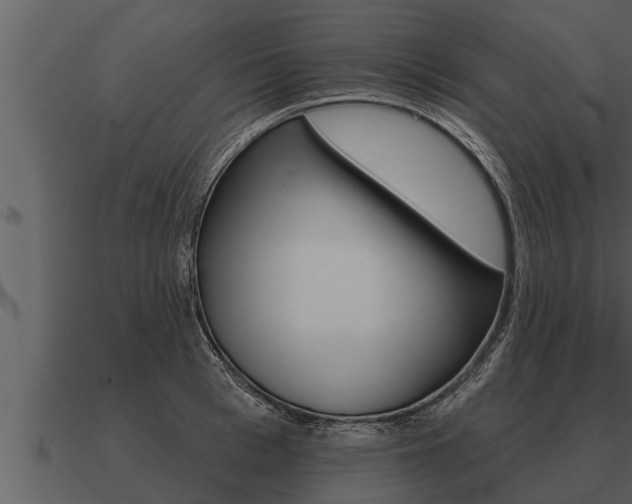 X0000091090993200708060955