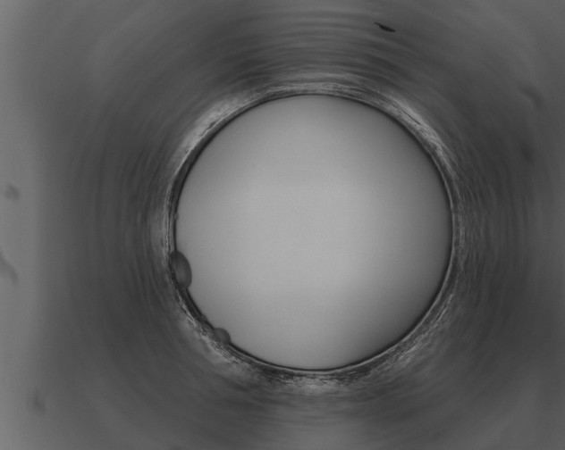 X0000091090994200708060955