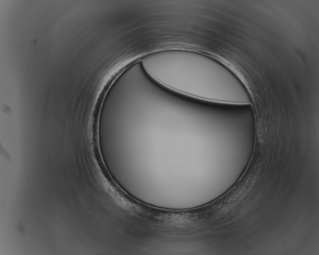 X0000091090995200708060955