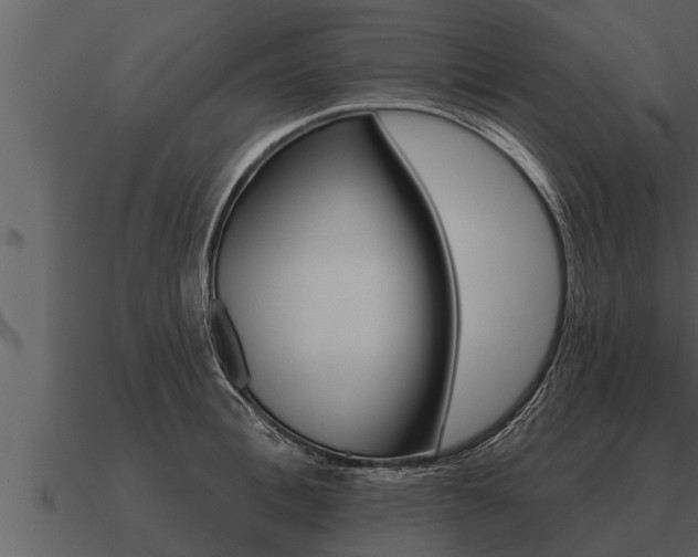 X0000091090996200708060955