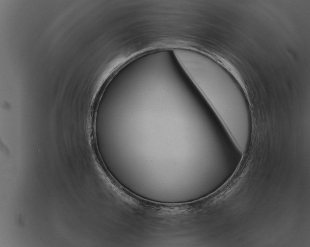 X0000091090997200708060955