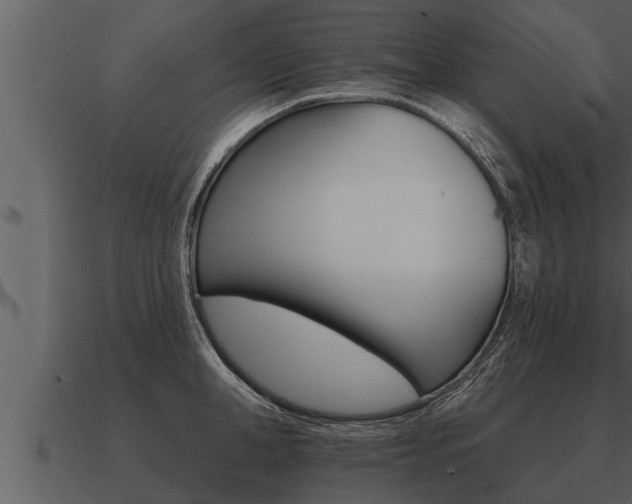 X0000091090998200708060955