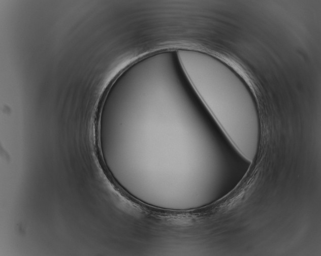 X0000091090999200708060955