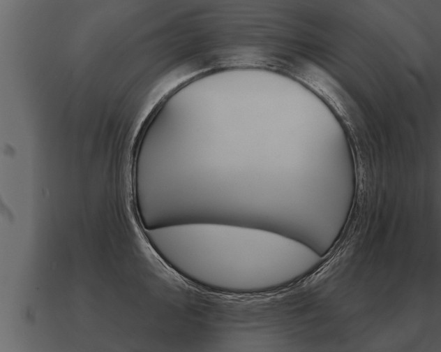 X0000091091000200708060955