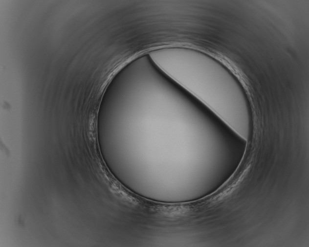 X0000091091001200708060955