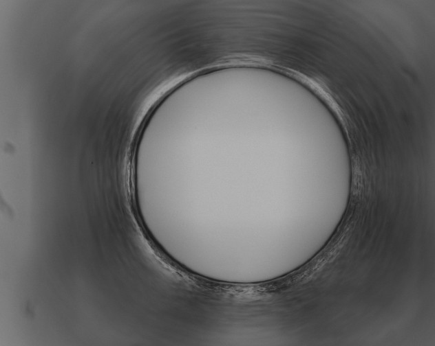 X0000091091003200708060955