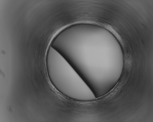 X0000091091004200708060955