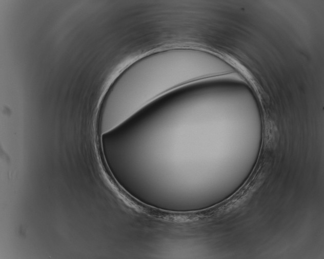 X0000091091005200708060955