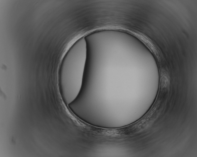 X0000091091006200708060955