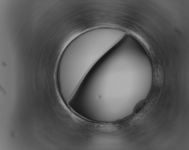 X0000091091007200708060955