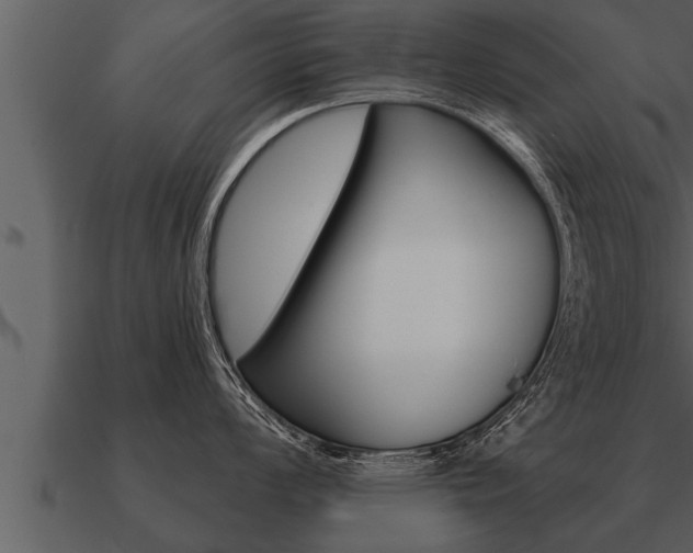 X0000091091008200708060955
