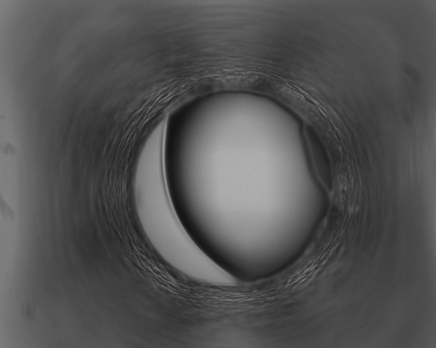 X0000091091010200708060954