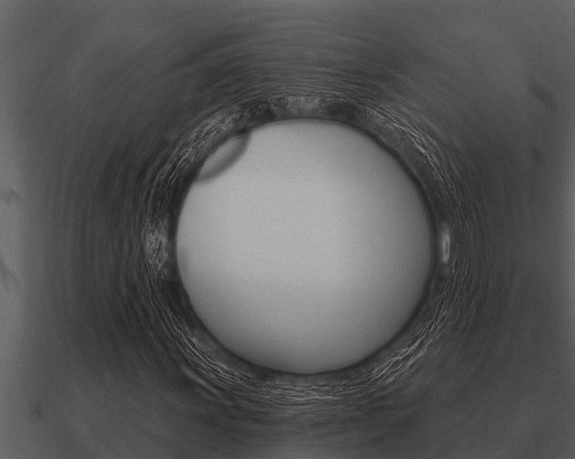 X0000091091011200708060954
