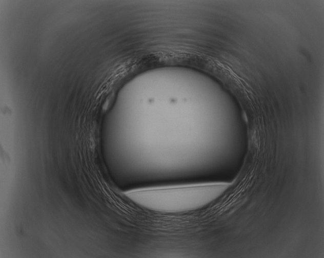 X0000091091012200708060954