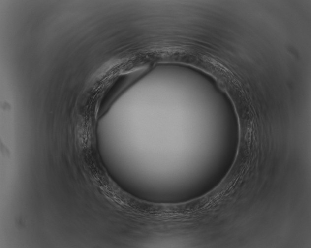 X0000091091014200708060954
