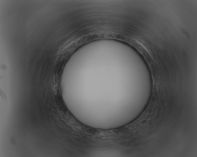 X0000091091015200708060954