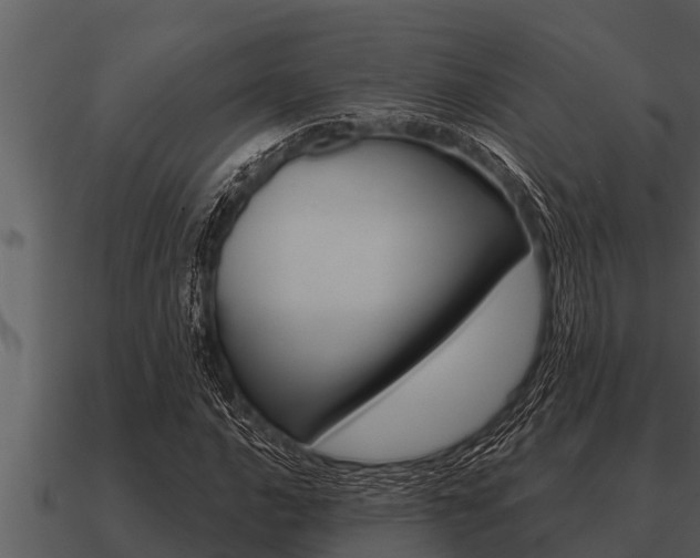 X0000091091016200708060954