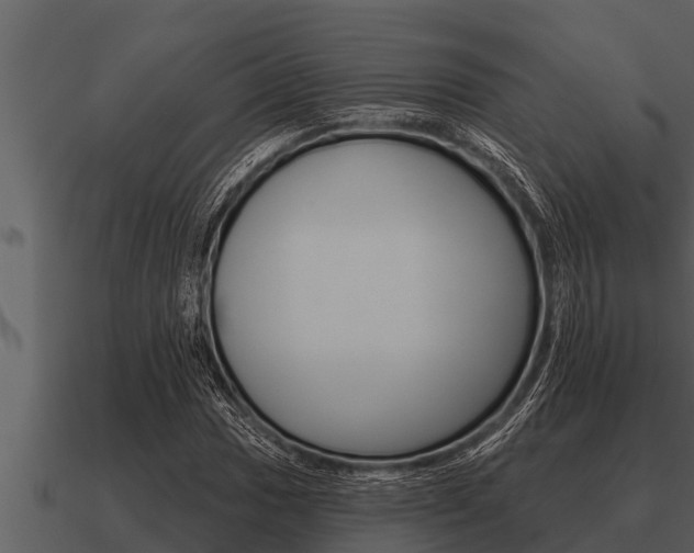 X0000091091017200708060954